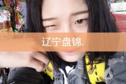 快手活粉购买便宜是真的吗(购买的快手活粉是哪里来的?)