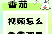 快手播放电视剧教程视频下载免费（快手播放电视剧教程视频下载免费观看）