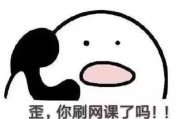 网课刷剧屏幕分辨率(上网课显示屏多大最好)