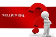 脚本怎么运行刷课(脚本怎么运行到网页)