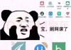 代刷网课的人怎么样刷的简单介绍