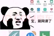 代刷网课的人怎么样刷的简单介绍