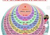 关于学习通排名的信息