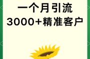 微信推广引流加精准客户(微信客户精准引流怎么样)