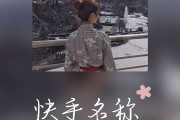 快手粉丝团怎么隐藏成员昵称_快手粉丝团能隐藏吗