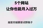关于刷死粉网站推广的信息