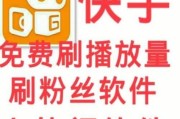 快手粉丝全网最低价网站(快手粉丝全网最低价网站是什么)