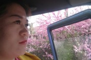 琉璃年华的快手点赞_琉璃年华的快手点赞多少钱