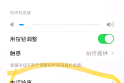 抖音怎么设置静音没有声音功能（打开抖音设置静音）