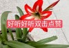快手卖双击点赞（快手双击点赞在线平台）