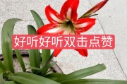 快手卖双击点赞（快手双击点赞在线平台）