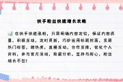 快手粉丝怎样长得快些呢（快手粉丝怎样长得快些呢视频）