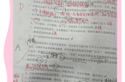 花生十三全套网课和刷题(花生十三刷题班讲义百度云资源)