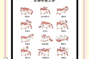 如何用脚本猫刷课的简单介绍