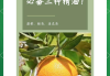 刷网课如何提高效率(刷网课的都是怎么刷的)