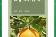 刷网课如何提高效率(刷网课的都是怎么刷的)