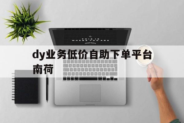 dy业务低价自助下单平台南荷的简单介绍